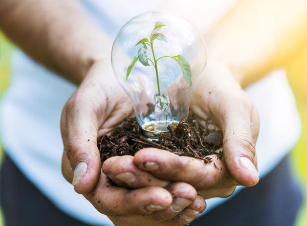 Eco Friendly - Fast Fashion Industry Part 02