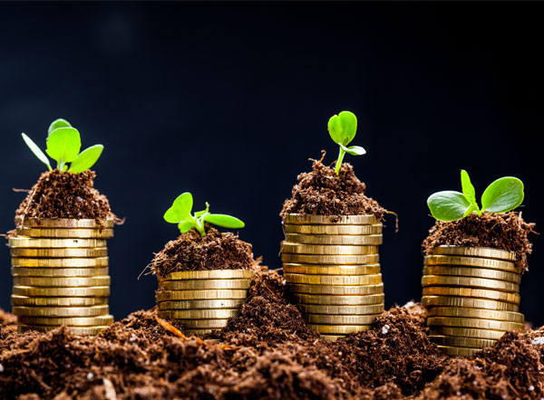 Ambitious - Fast Fashion Industry Part 04