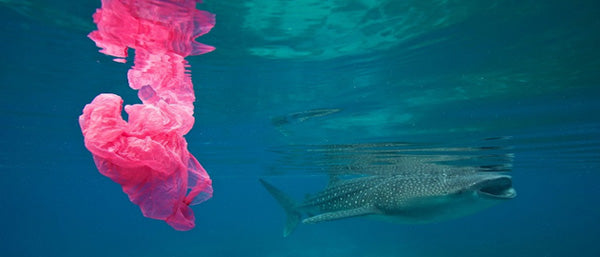 Fast Fashion Clothing - Fast Fashion Industry Part 01