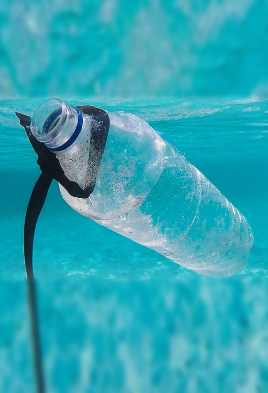 Take a step to save our Earth