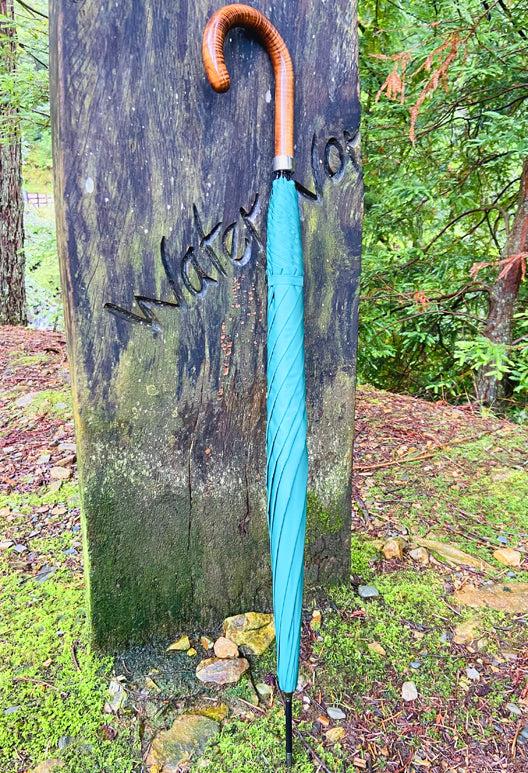 HISTORY AND TYPES OF UMBRELLA