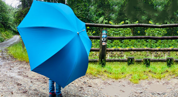 The Cotton London Umbrella